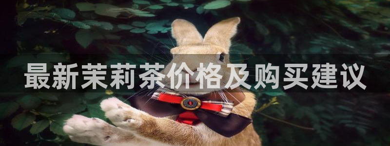 摩登4右7O667