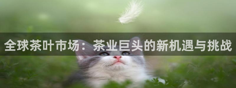 摩登5天7O667