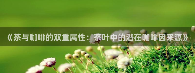 摩登主管7285 7好
