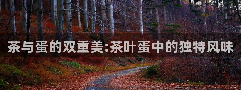 摩登7属于什么平台