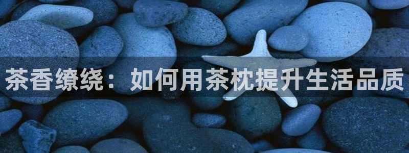 摩登4下7O667