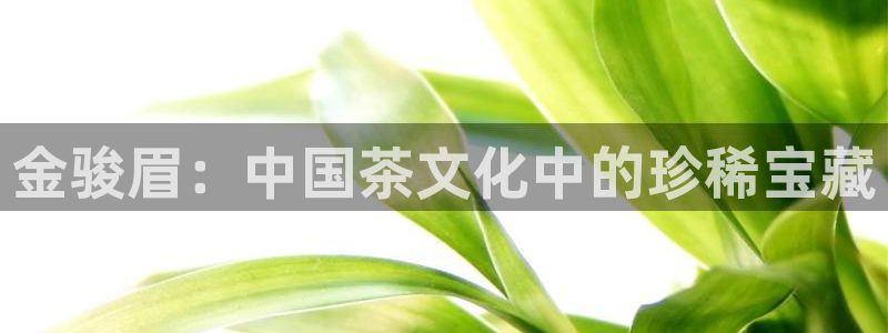 摩登6韩这7O667