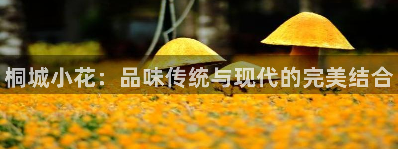 摩登6褚7O667