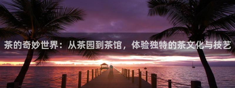 摩登7股东