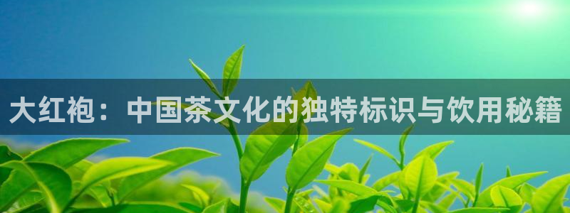 摩登7登录契333OO