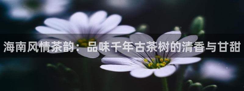 摩登7登陆平台