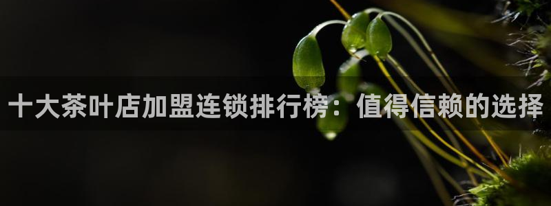 摩登7属于什么平台