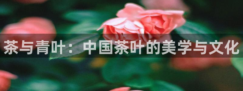 摩登7后3299O7