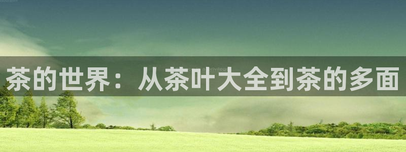 摩登7右3299O7