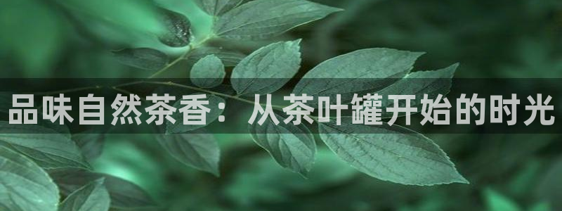 摩登7公司排名