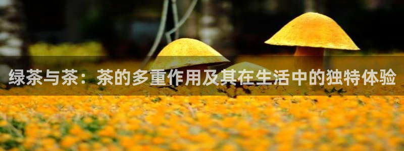 摩登7招商议333OO