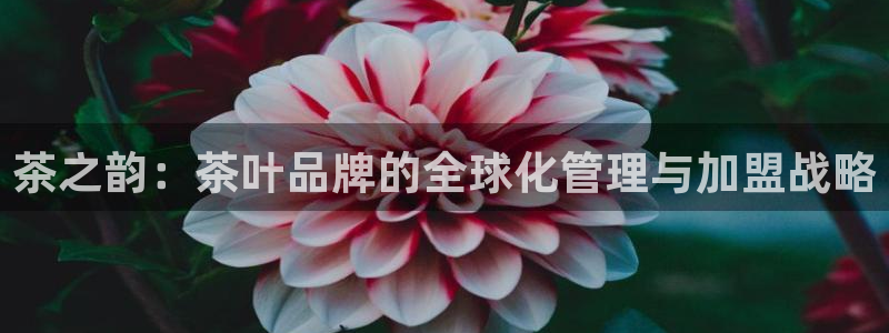摩登招商尢首选金手指7