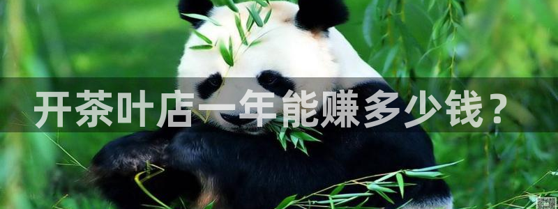 摩登7平台首页