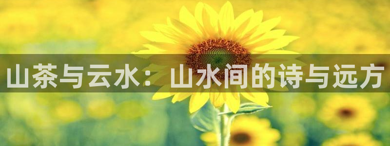 摩登7怎么登录不了了