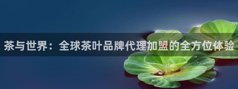 摩登7平台app