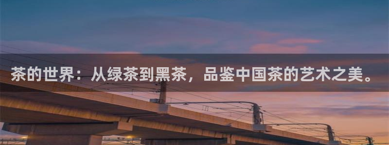 摩登7主管亲333OO