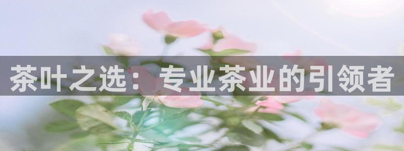 摩登乐园7