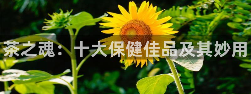 摩登3后7O667