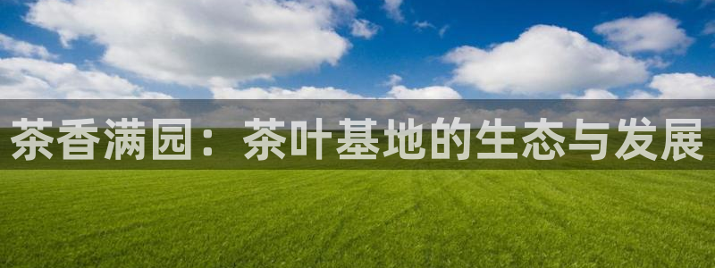 摩登7股东