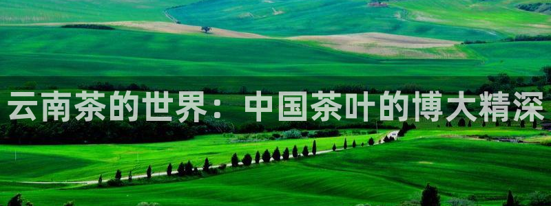 摩登7公司排名