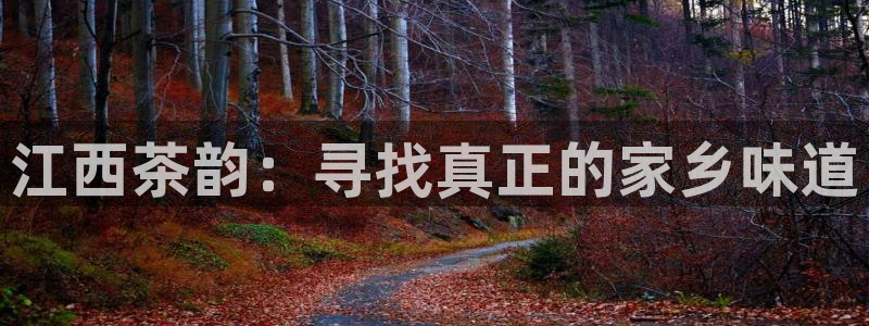 摩登乐园7