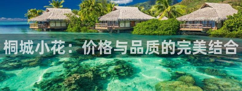 摩登7来宾