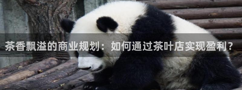 摩登3下7O667