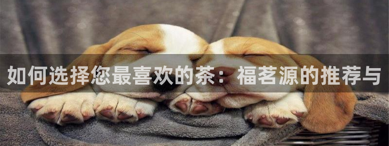 摩登7 1 1