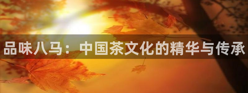 摩登7上级