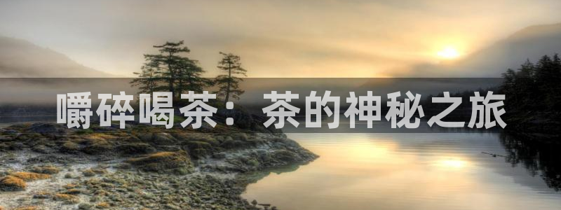 摩登7上