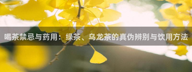 摩登精品7