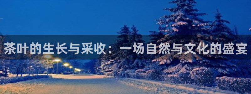摩登6张7O667