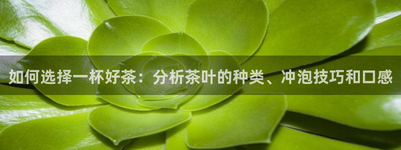 摩登7天3299O7