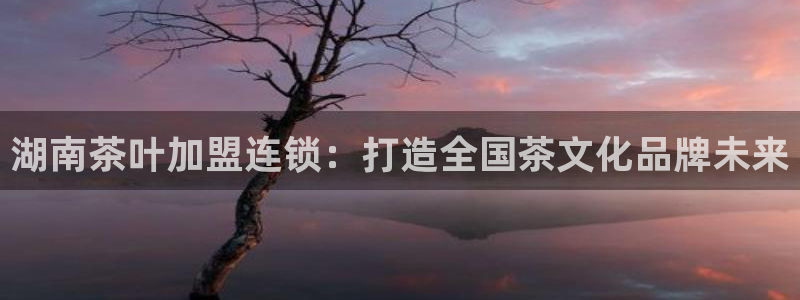 摩登7属于什么平台