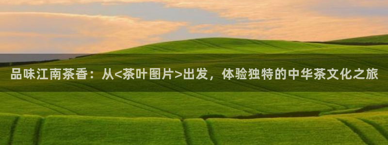 摩登7官网六柒五I38