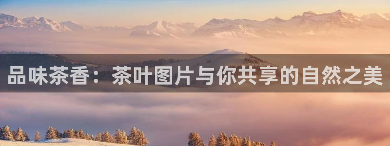 摩登7注册据333OO