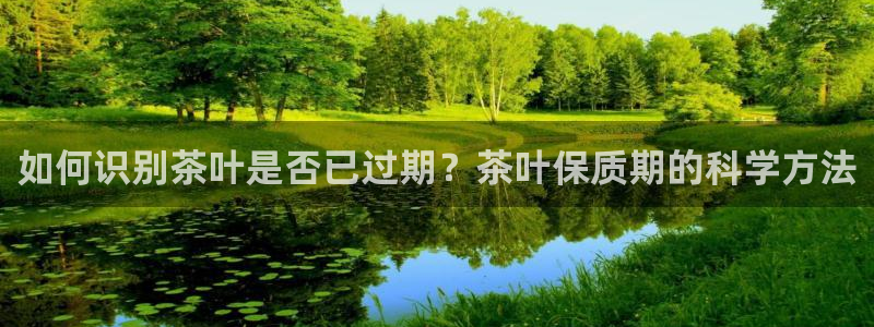 摩登7去3299O7