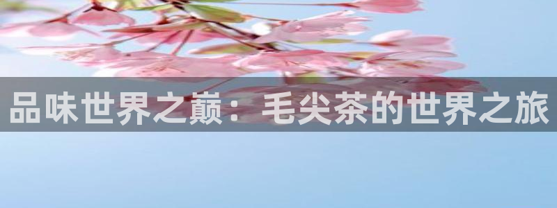 摩登7口碑