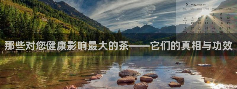 摩登招商臼金手指专业7