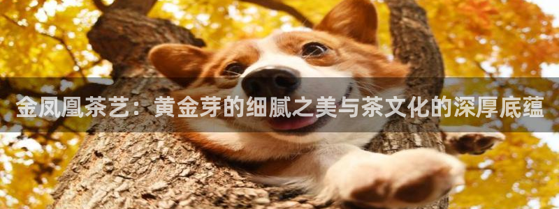 摩登乐园7