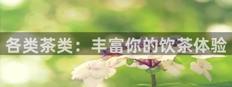 精品摩登7