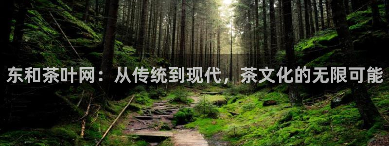 摩登招商尢首选金手指7