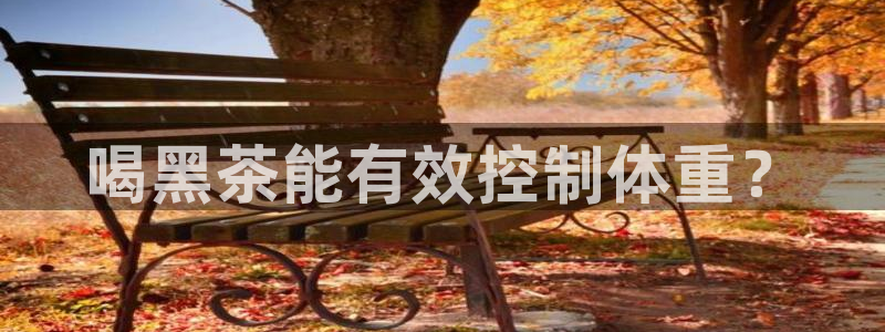 摩登招商丨金手指科捷7