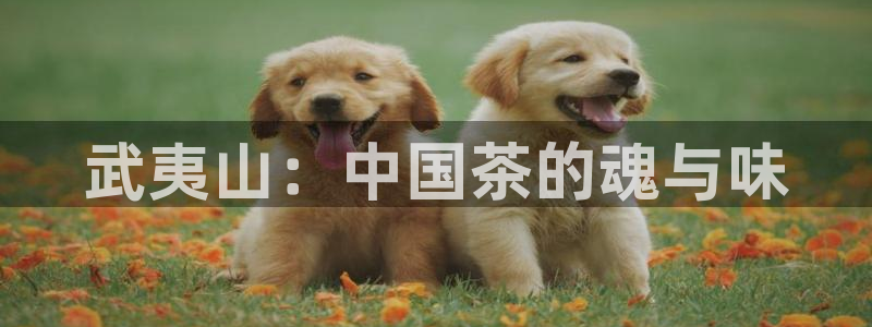 摩登7泽333OO