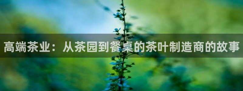 摩登4下7O667