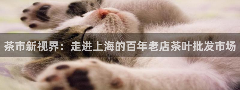 a7s2摩登