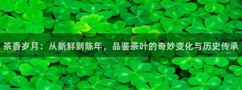 摩登7app官网下载