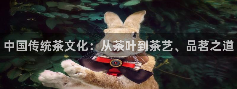 摩登7娱乐平台登录不了