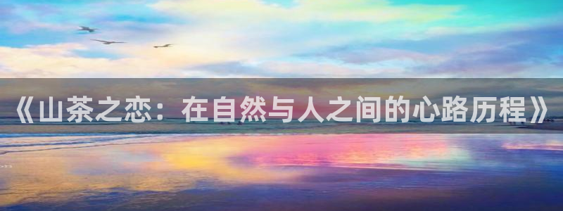 摩登7平台注册账号