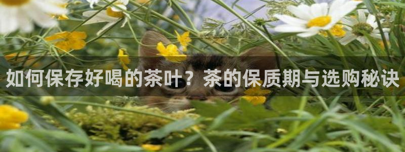 摩登7夜判官333OO